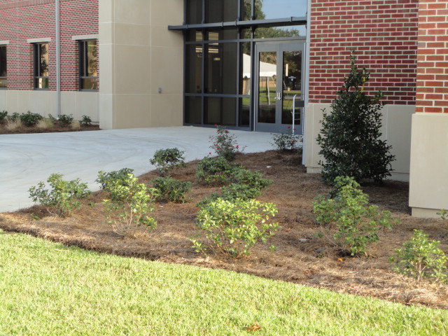 Commercial Landscaping Services, Landscaping Savannah Ga